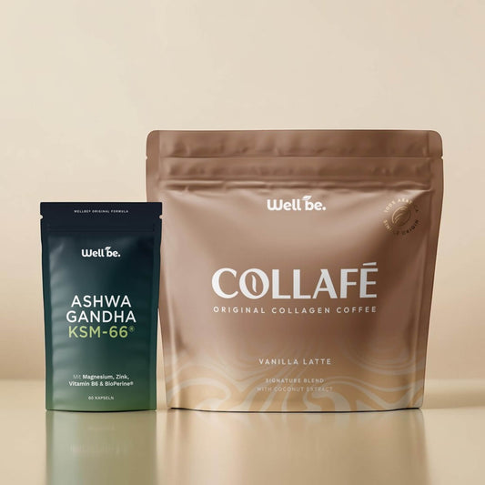 Fokus Bundle