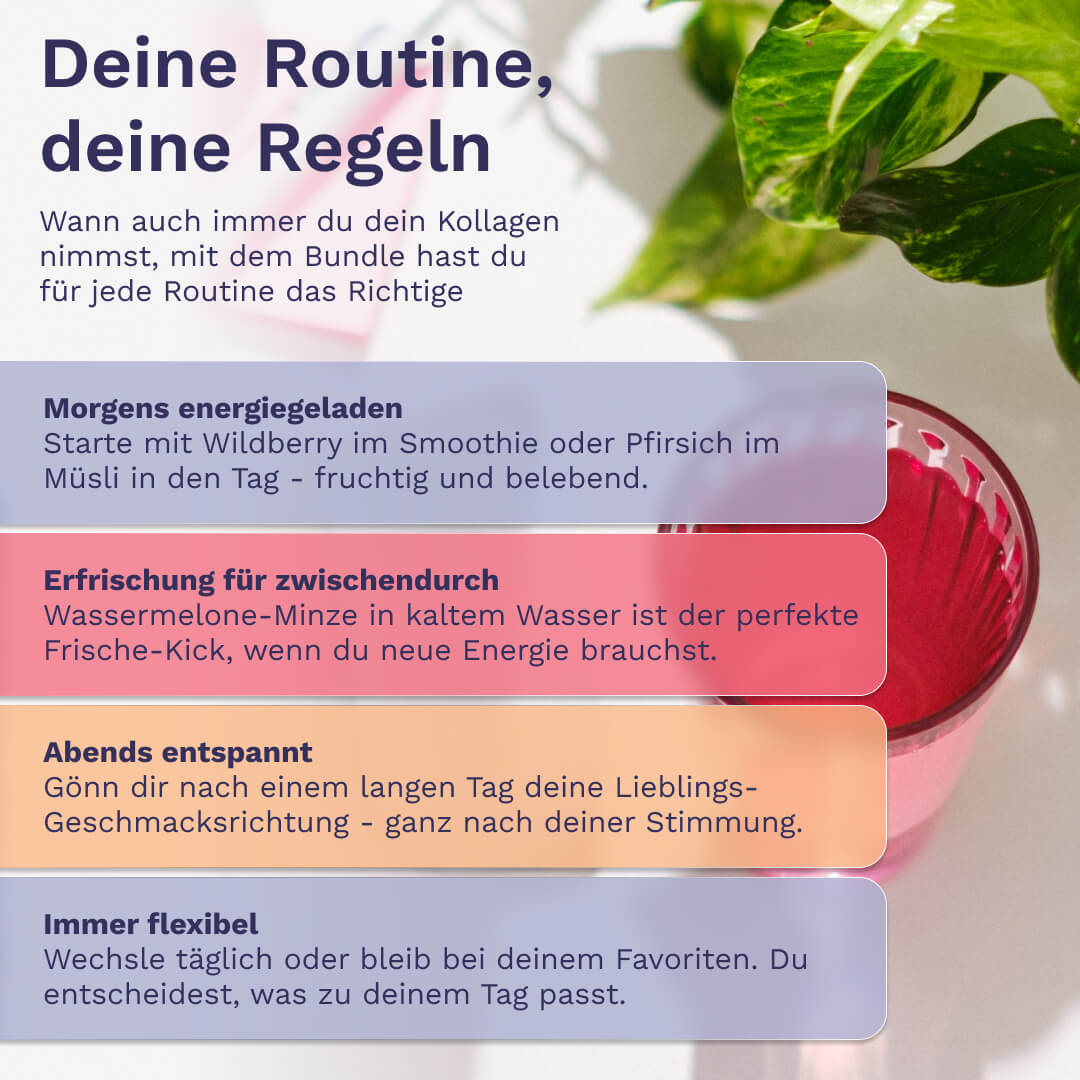 Beauty Kollagen Geschmacks-Bundle