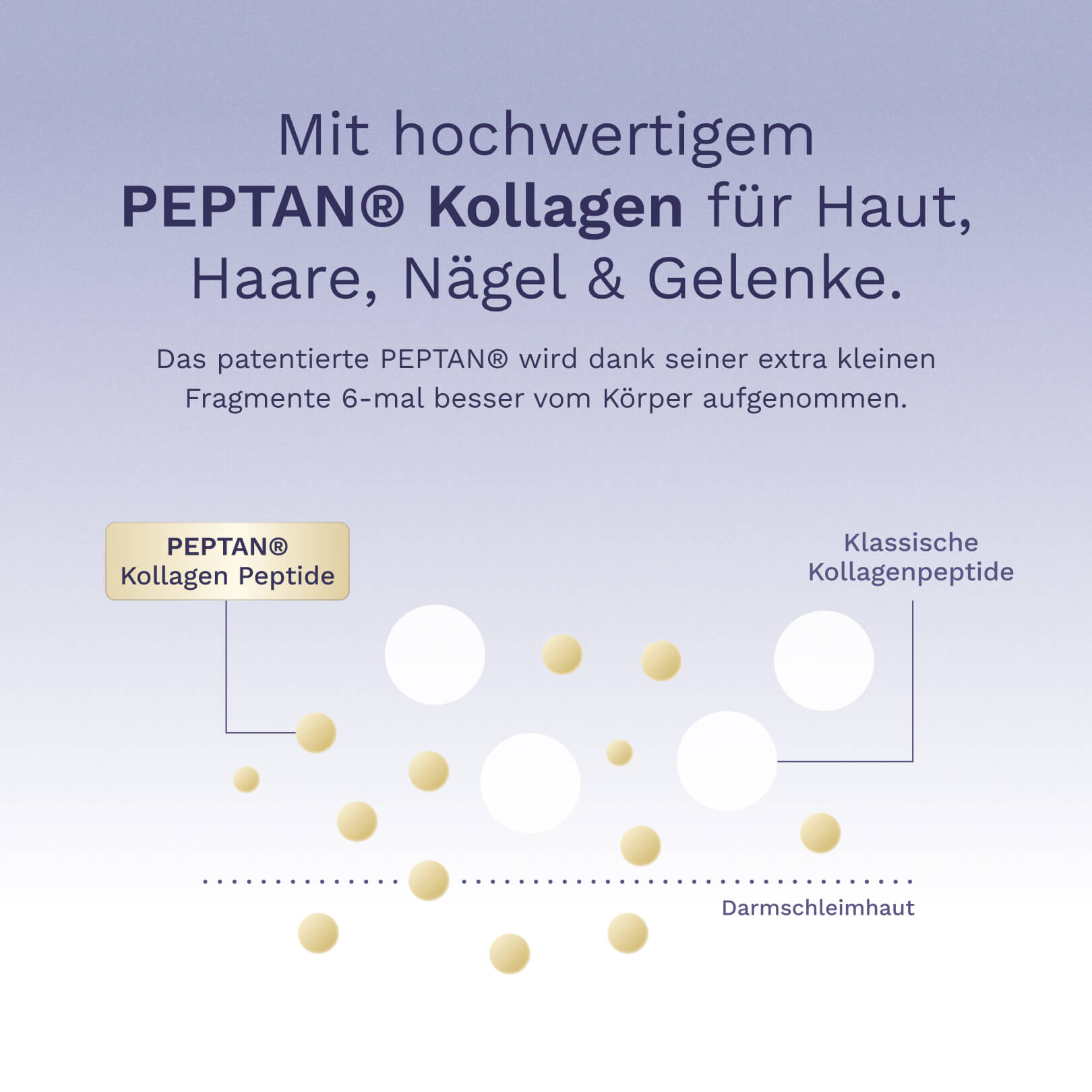 Beauty Kollagen Geschmacks-Bundle