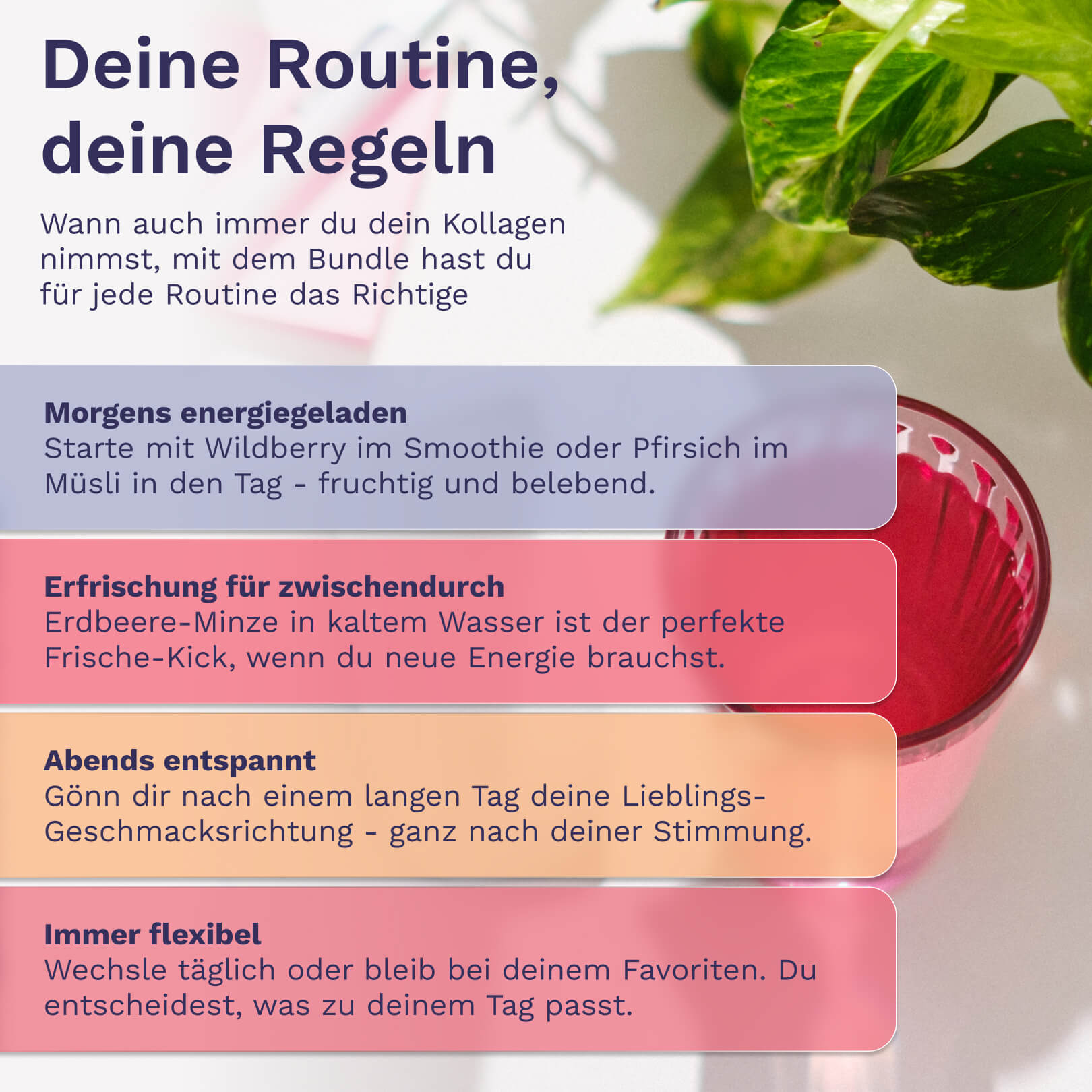 Beauty Kollagen Geschmacks-Bundle